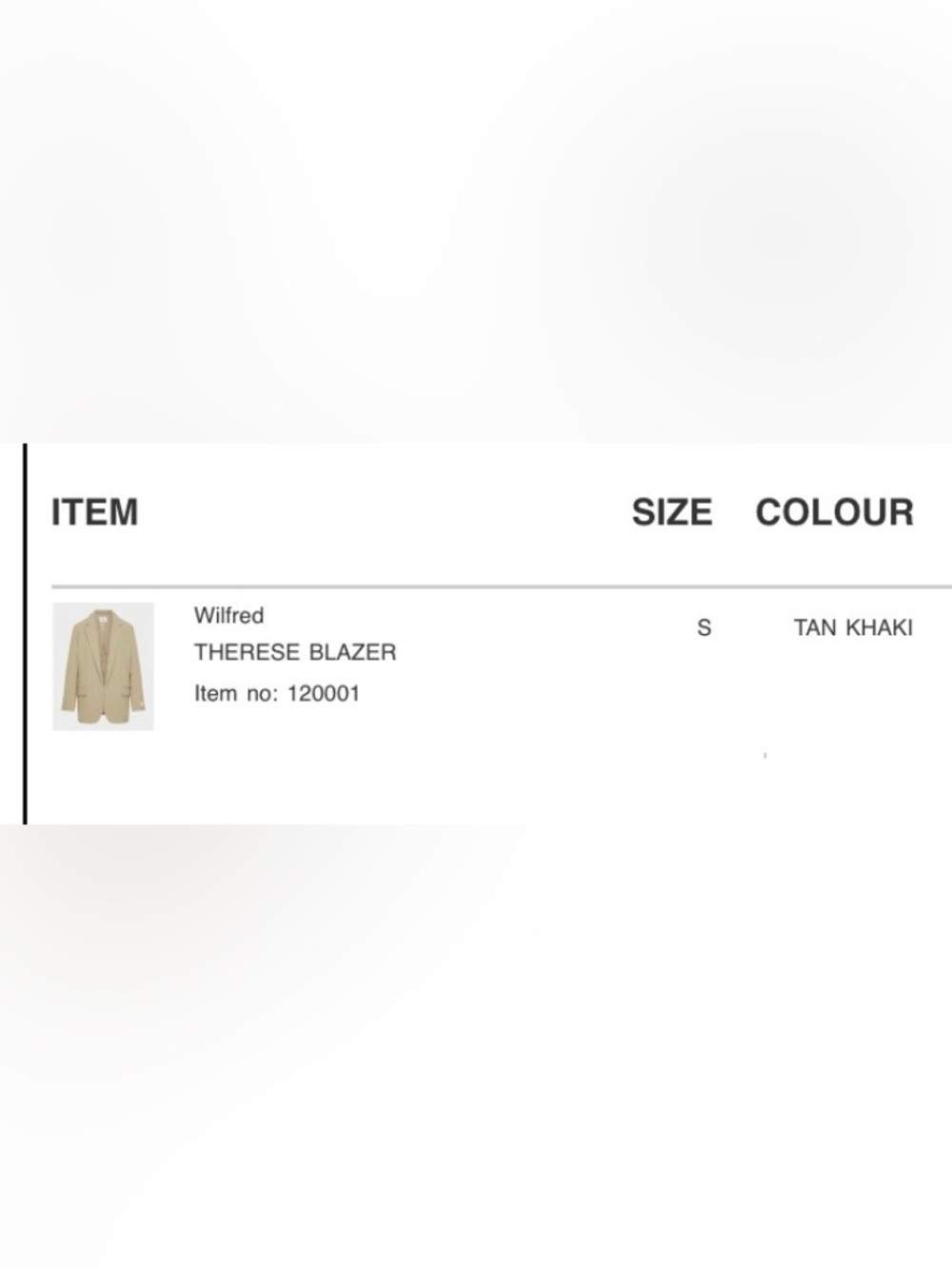 Aritzia Blazer - Picture 7 of 7